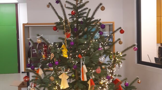Diesjähriger Weihnachtsbaum